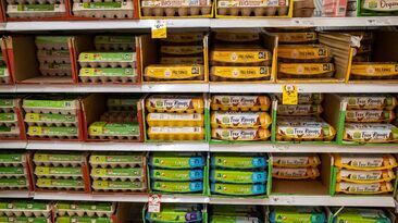 Experts hope Australian poultry farms can be protected from H5 bird flu.