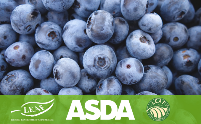 Asda beefs up sustainable sourcing with LEAF Marque pledge
