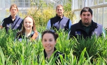 UWA students shine at Australian crops competition