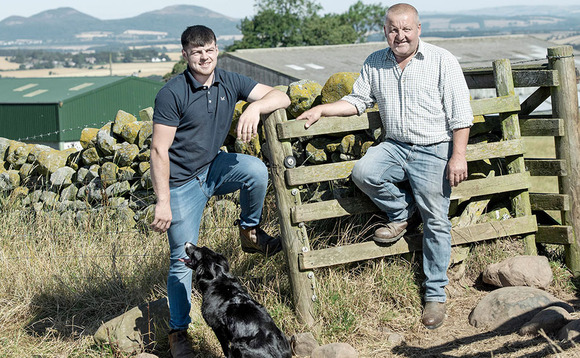 SHEEP SPECIAL: North Country Cheviot central to commercial breeding enterprise