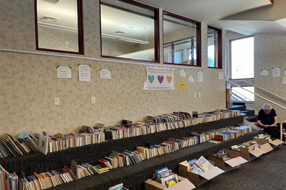 Friends of the Summit County Library cracks open its used book sale - Park Record