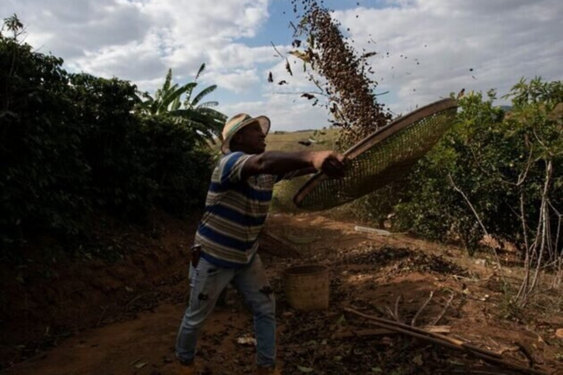 Brazil pushes to bring social issues to center of climate talks