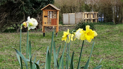 Grant UK promotes biodiversity at Swindon HQ