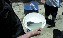 Mineral sand from the North Perth Basin, WA