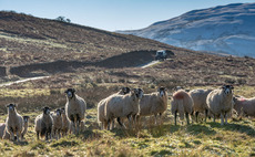 Strengthened powers to tackle supply chain unfairness in new Agriculture Bill