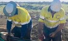 QEM shares savaged for 'unreliable' scoping study