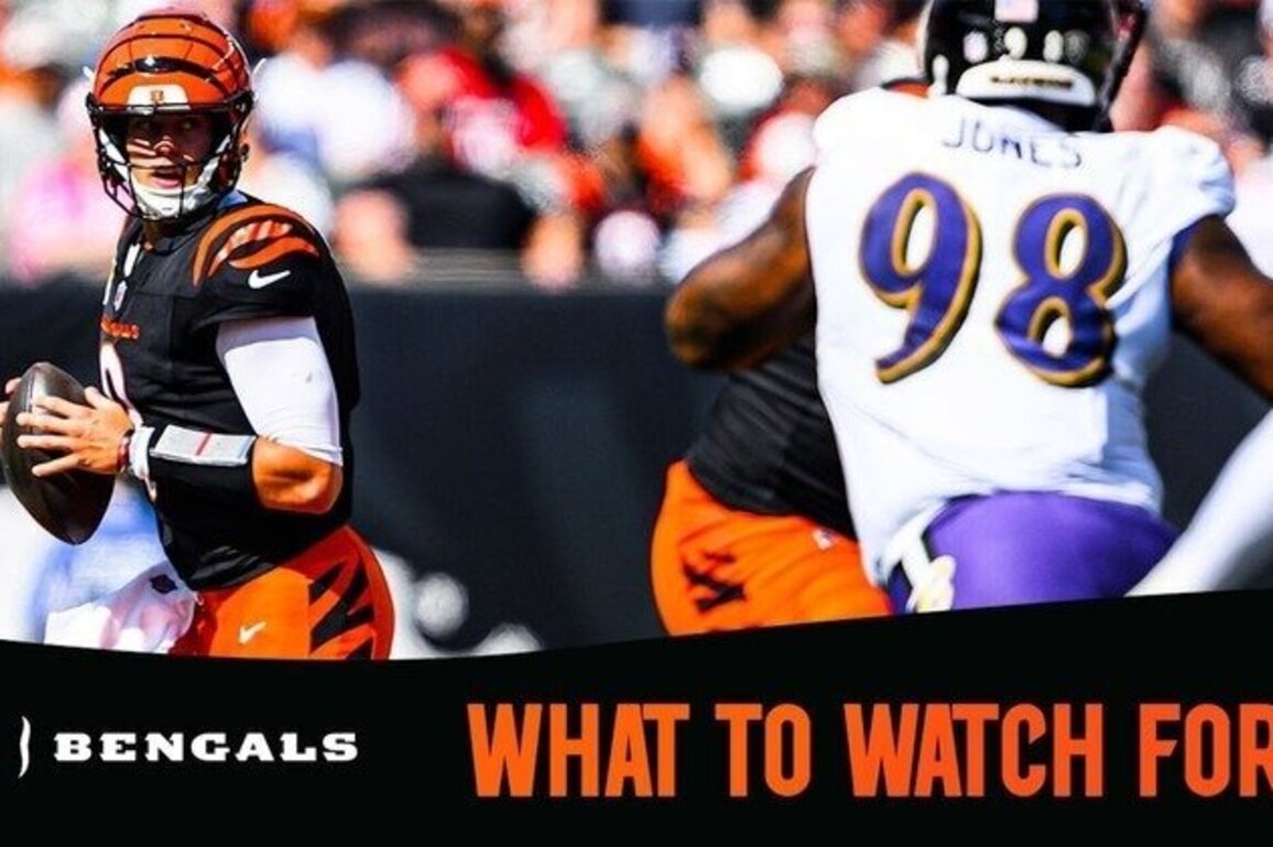 What to Watch For | Ravens vs. Bengals Week 15