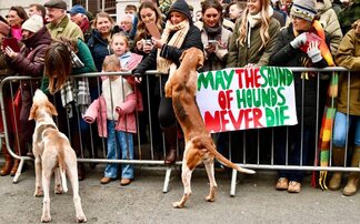 'Facts are being ignored' - Countryside in uproar over plans to ban trail hunting