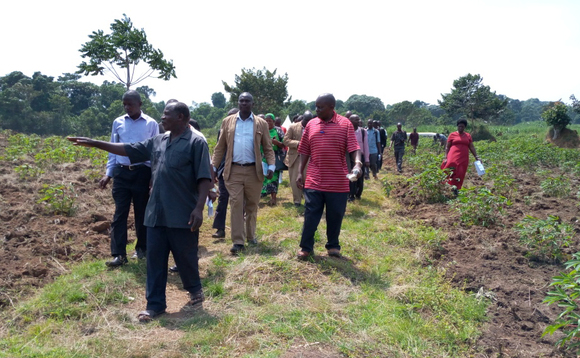 Matia Musisi (akulembedde) ng'alambuza Ssekiboobo emu ku nnimiro za Kabaka eza muwogo Matia Musisi (akulembedde) ng'alambuza Ssekiboobo emu ku nnimiro za Kabaka eza muwogo