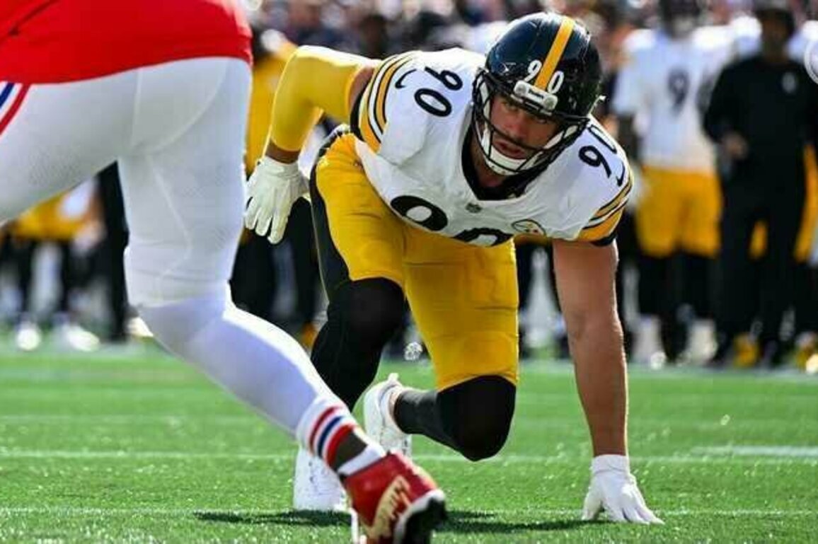 Watt has a 'bird's eye view' of games