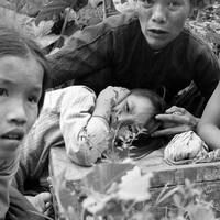 Opinion- The U.S. and Vietnam, five decades on