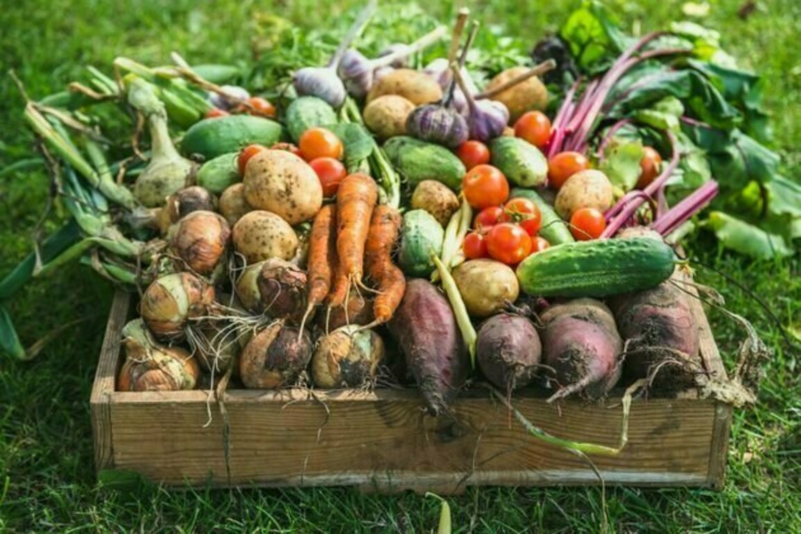 Community-run food co-ops can reduce food insecurity and boost healthy diets, research shows