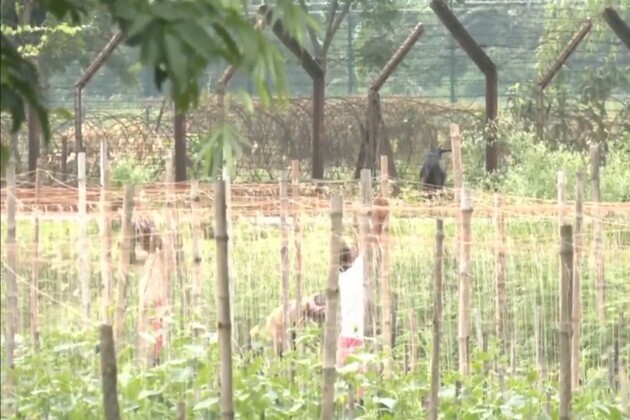 Fencing work begins along India-Bangladesh border in Siliguri after West Bengal govt hands over 27 km land to BSF
