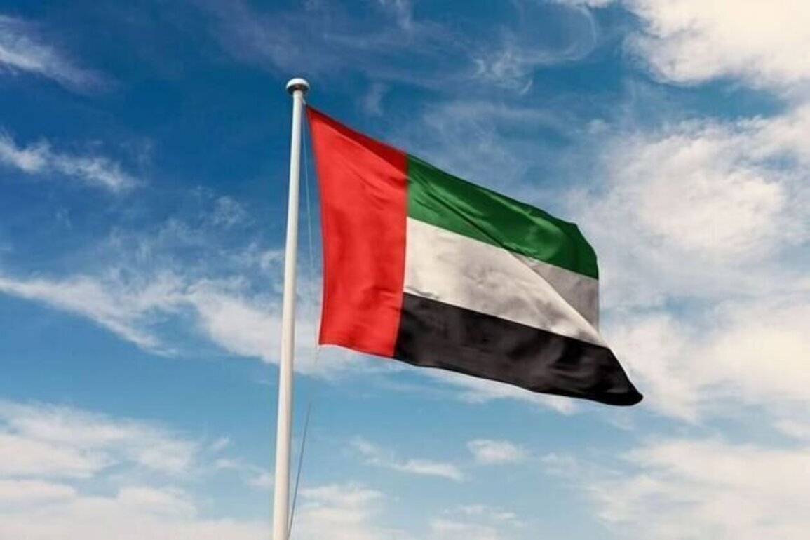 UAE participates in Virtual Foreign Ministers Meeting on Strait of Hormuz