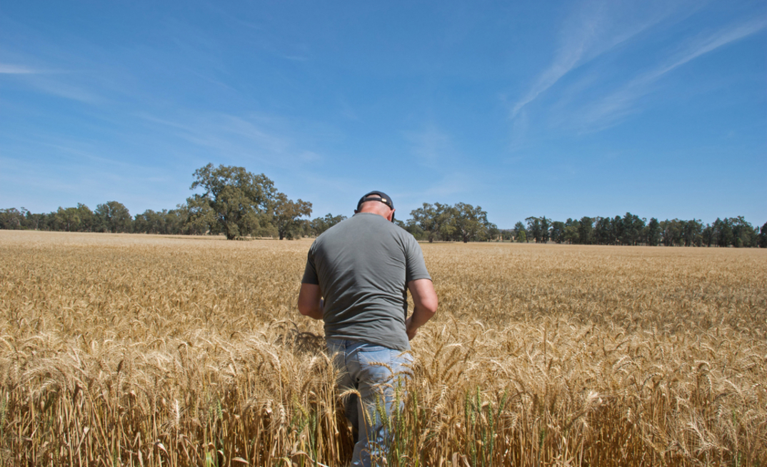 Grain Producers Australia has kicked off a new podcast.