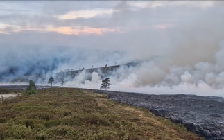 Scotland must delay muirburn licensing change in light of wildfires, says union