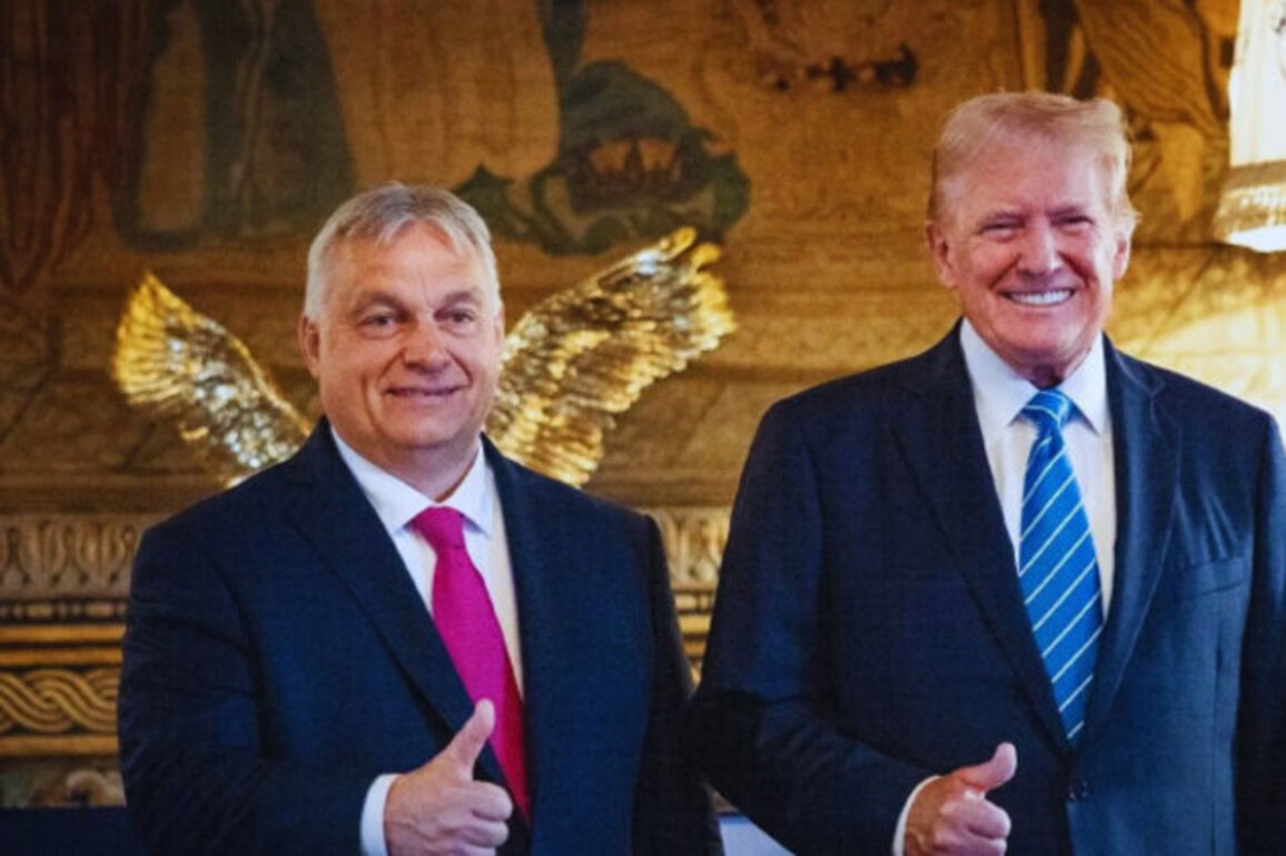 Orban Says Venezuela Developments May Benefit the World