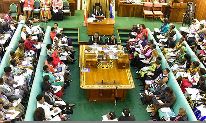 Chaos at Parliament: What exactly happened? Chaos at Parliament: What exactly happened?