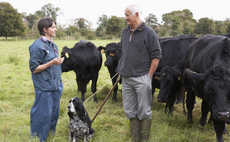 Veterinary sector faces retention crisis