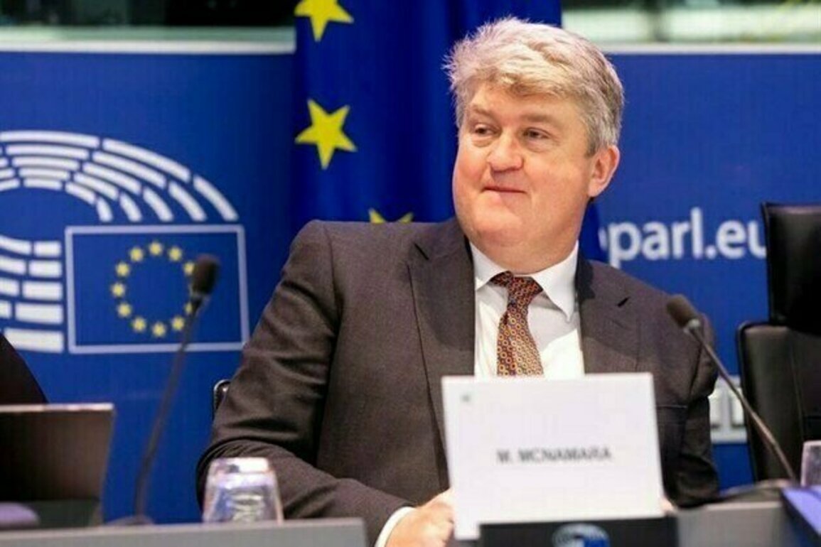Iranian Spokesman Praises Irish MEP for Condemning Israeli Crimes