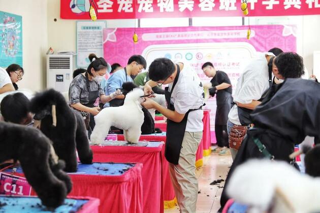 China's pet economy 3.0 -- Pampering paws and claws