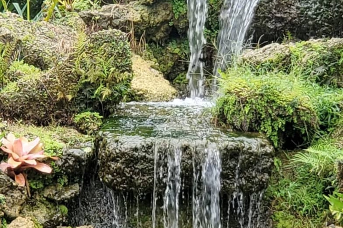 Waterfall, Florida, USA - Photo of the Day - Havana Times