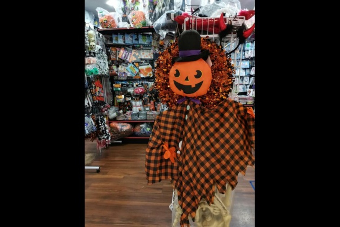 Family costume store battles tariffs with creativity and old stock