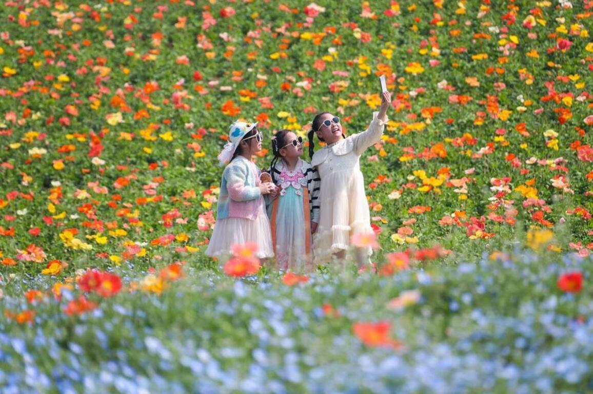 Students embrace first spring break around Qingming Festival