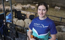 Backbone of Britain: Shearing record setter in training
