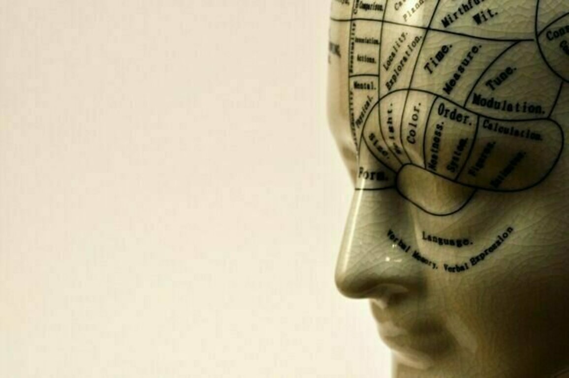 Why were people so drawn to phrenology?