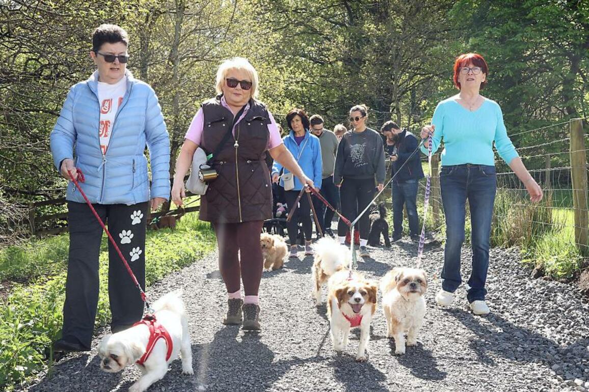 Walk in memory of Jonny Gibson raises 1,350 for Bright Eyes