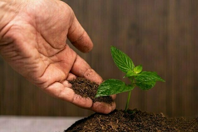 Leading Agtech company, Nutrition Technologies, launches Diptia biofertilizer from insect frass