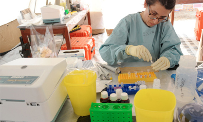 WHO approves experimental Ebola drugs WHO approves experimental Ebola drugs