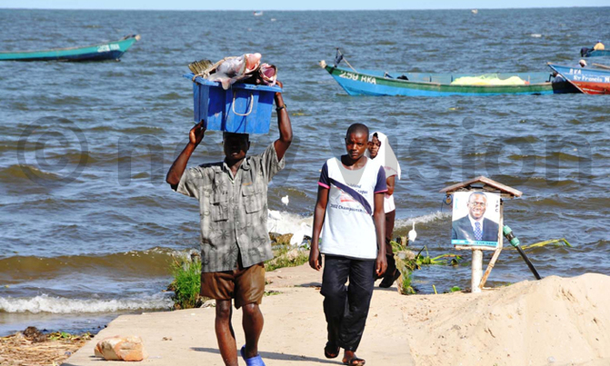 Leaders call for joint management of Lake Victoria Leaders call for joint management of Lake Victoria