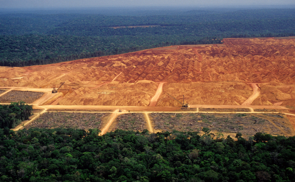 Deforestation in the Amazon and other tropical forests fuels the climate and biodiversity crises | Credit: iStock
