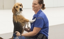 Sign language skills helping get quarantine message across