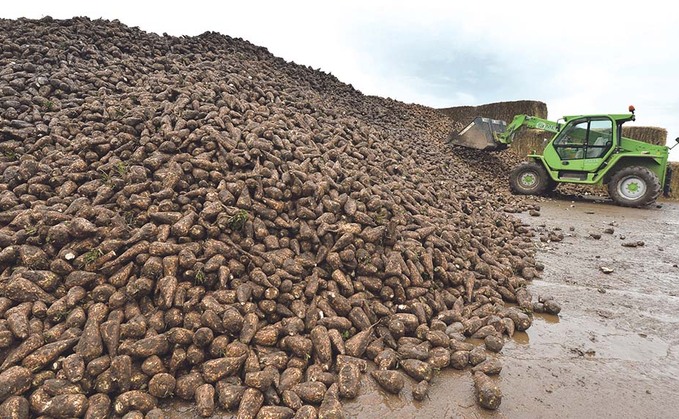Growers told to prepare for sugar beet haulage delays