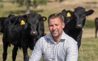 Inside Koyu Wagyu: How two farmers built an innovative UK Wagyu supply chain