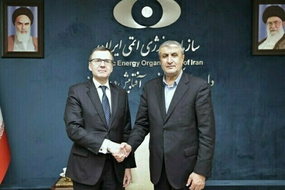 Iran, Russia Advance Cooperation on SMRs