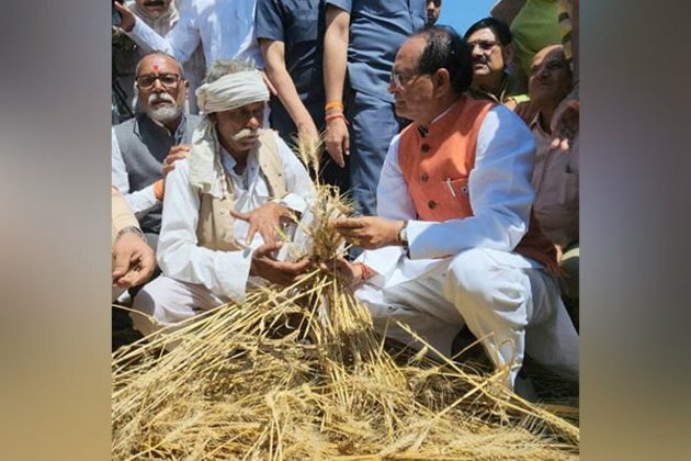 Farmers to be given relief of Rs 32,000 a hectare for crop loss of over 50 pc due to hailstorm, untimely rains: CM Chouhan