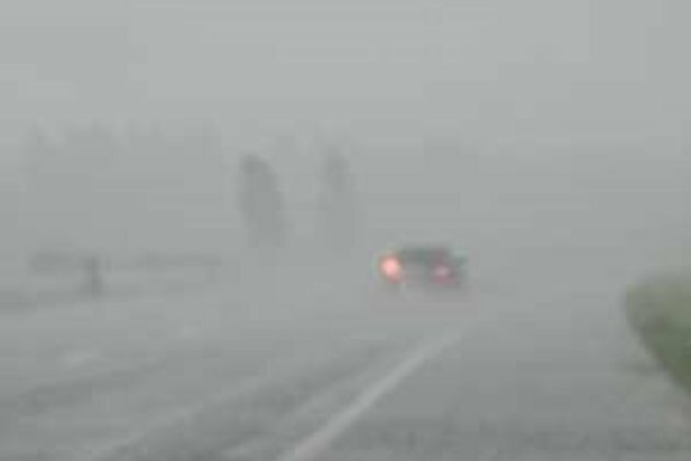 Early June rains good, but no guarantee they will last - experts