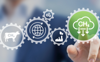 Global Methane Pledge 'unachievable' without action from agri-food giants, study warns