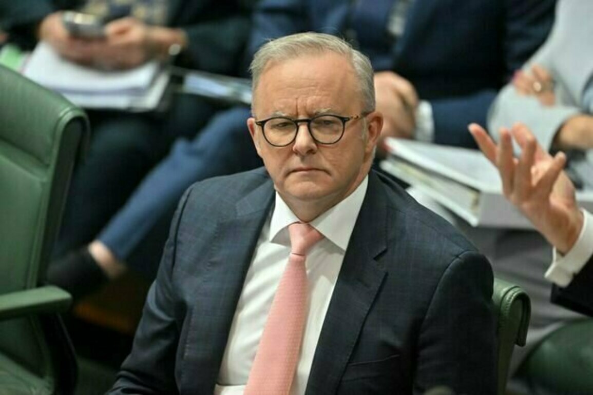 View from The Hill: Albanese wants international cover before Australia recognises Palestine as a state