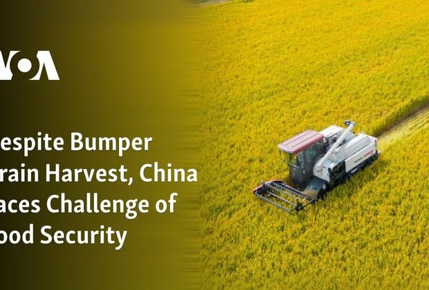 Despite Bumper Grain Harvest, China Faces Challenge of Food Security