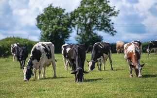 Data will give dairy farming the edge against decline 