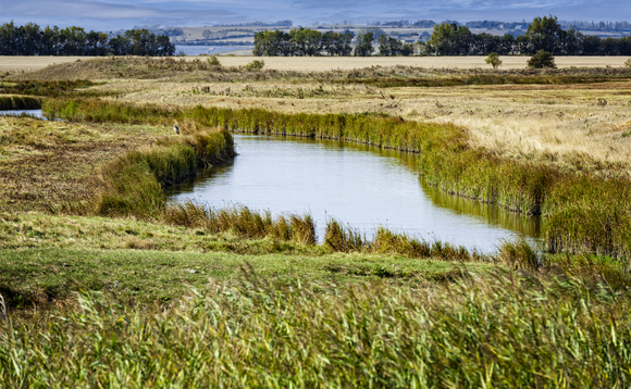 The Swale National Nature Reserve on the Isle of Sheppey in Kent, England | Credit: iStock The Swale National Nature Reserve on the Isle of Sheppey in Kent, England | Credit: iStock