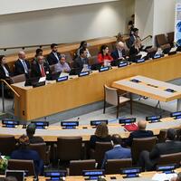 Roundup: UN holds high-level meeting on noncommunicable diseases