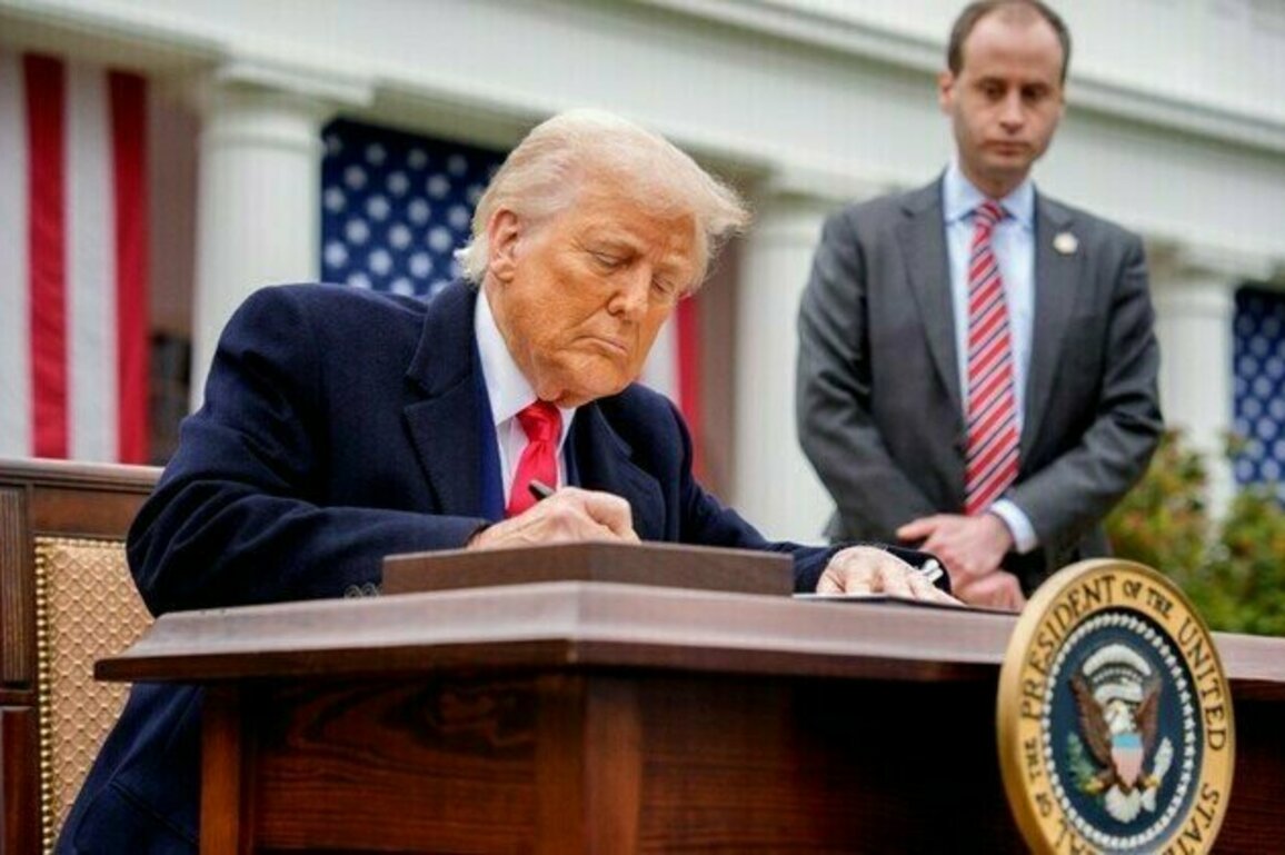 Trumps sledgehammer approach may cause trade wars  financial analyst