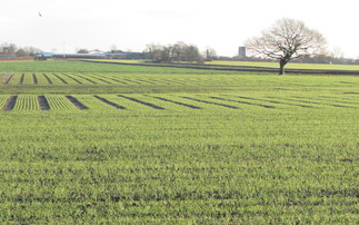 Strategic Farm East shares findings from second year of arable trials