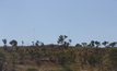 The site of the first drilling discovery at the Browns Range project in north-eastern Australia.